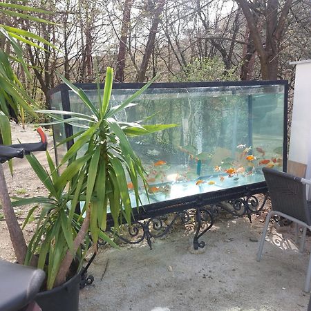 Gaestehaus Coco Krems an der Donau Bagian luar foto